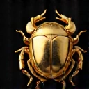 Golden Scarab Beetle